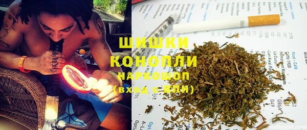 ПСИЛОЦИБИНОВЫЕ ГРИБЫ Балахна