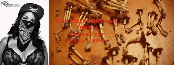 эйфоретик Баксан