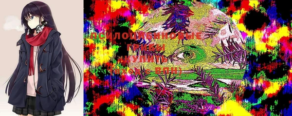 ECSTASY Балабаново