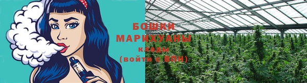 ПСИЛОЦИБИНОВЫЕ ГРИБЫ Балахна