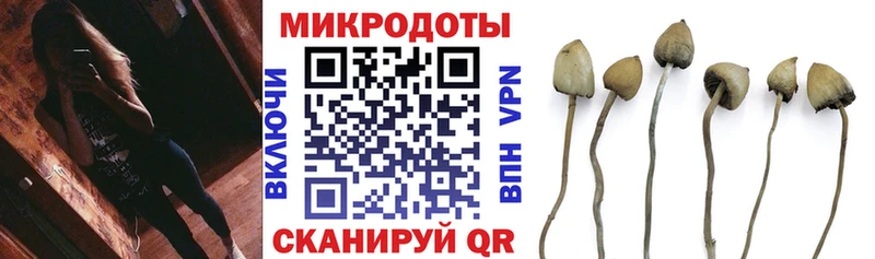 Галлюциногенные грибы Psilocybe  что такое   Вятские Поляны 